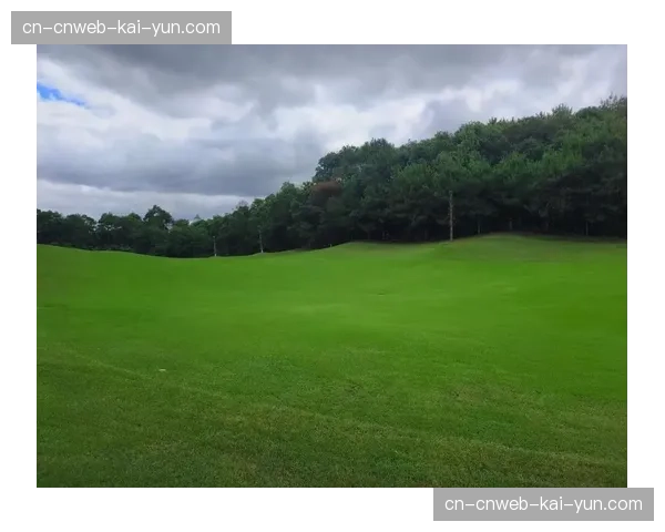 波尔多主场草坪将采用新型混合草种，以应对密集赛程。